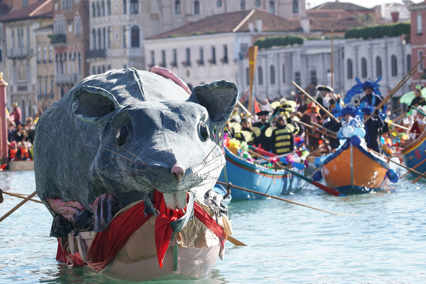 Venice carnival, reggata on the Grand Canal