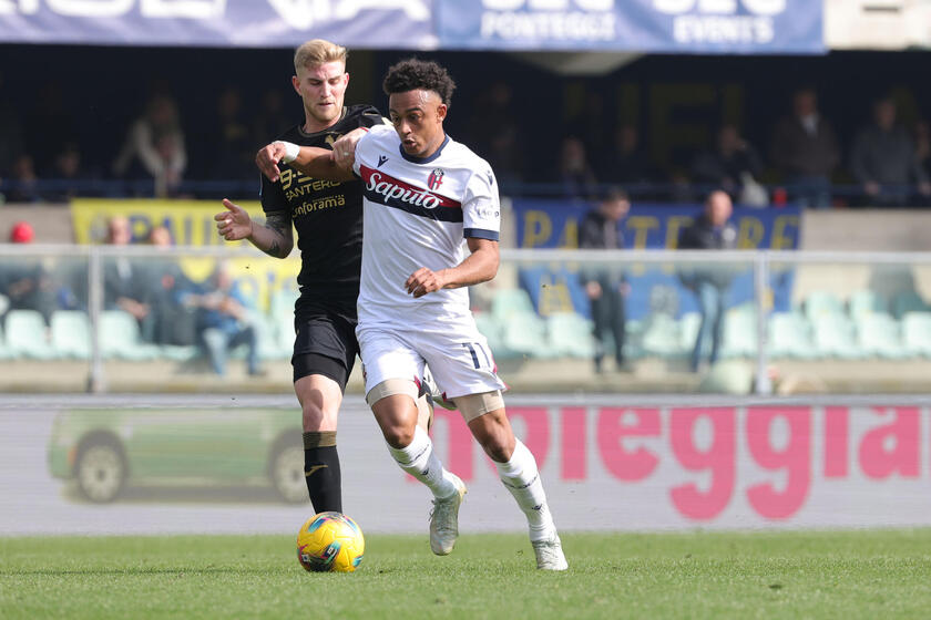 Soccer: Serie A; Hellas Verona FC vs Bologna Fc