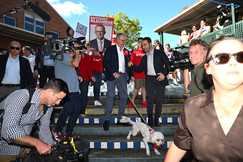 Australian Prime Minister Anthony Albanese campaign