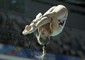 Tuffi: Mondiali; Cagnotto d'oro nel trampolino 1m © Ansa