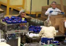 Opportunità di lavoro in Ferrero