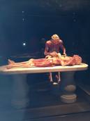 Prorogata fino a 27/4 mostra Body World