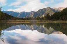 Un Osservatorio biodiversità per scoprire segreti natura