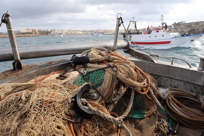 - RIPRODUZIONE RISERVATA