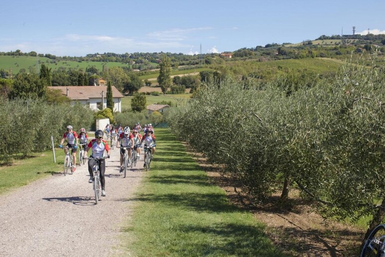 - RIPRODUZIONE RISERVATA