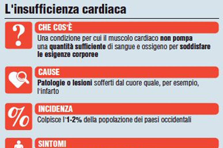 Risultato autopsia: Pino Daniele morto per insufficienza cardiaca - RIPRODUZIONE RISERVATA