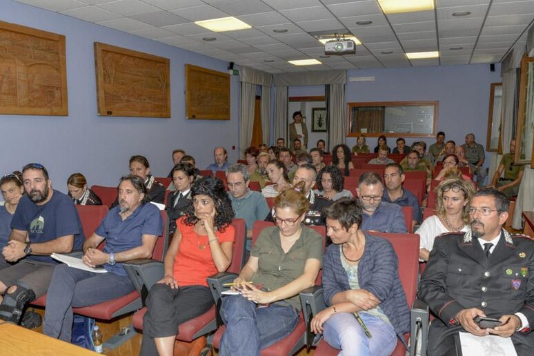 - RIPRODUZIONE RISERVATA