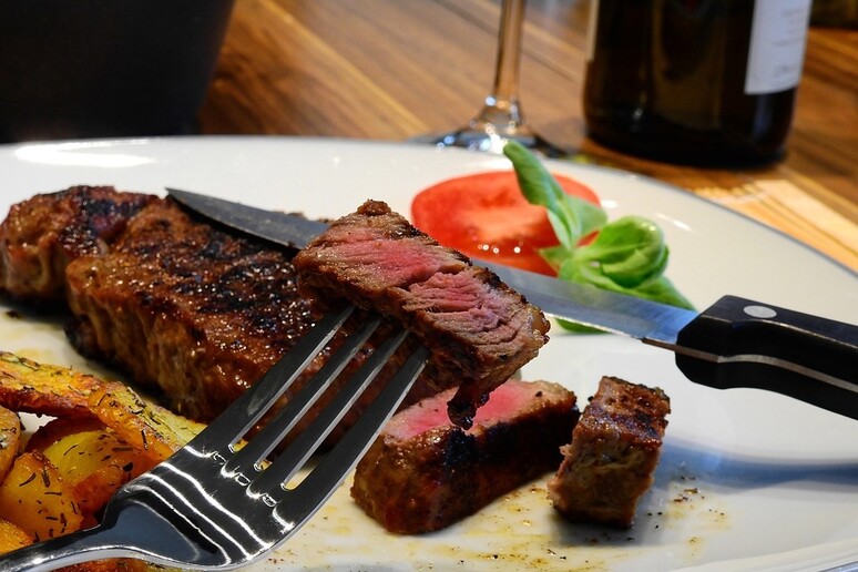 Bistecca (fonte: Pixabay) - RIPRODUZIONE RISERVATA