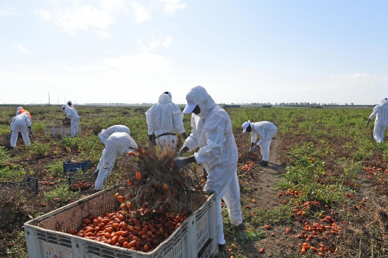 - RIPRODUZIONE RISERVATA