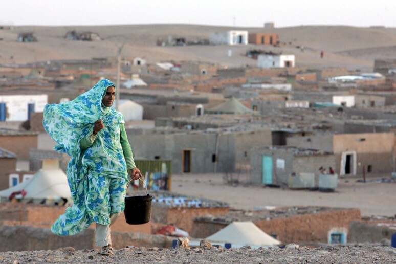Un campo profughi Saharawi vicino a Tindouf in Algeria - RIPRODUZIONE RISERVATA