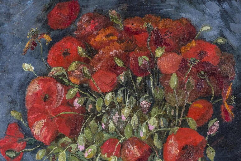 i Papaveri di Van Gogh al museo del Connecticut Dutch, 1853-1890 Poppies, c. - RIPRODUZIONE RISERVATA