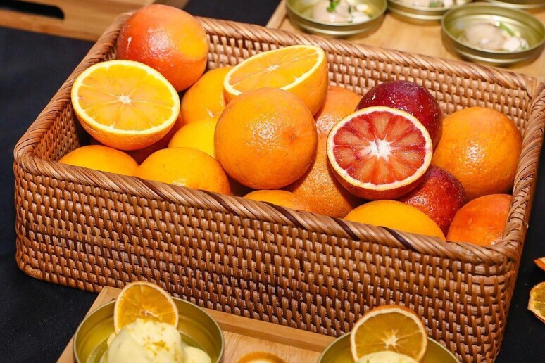 Agricoltura:arance siciliane in Cina aprono  'via della seta ' - RIPRODUZIONE RISERVATA