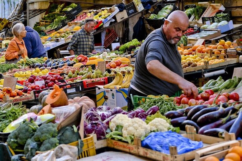 - RIPRODUZIONE RISERVATA