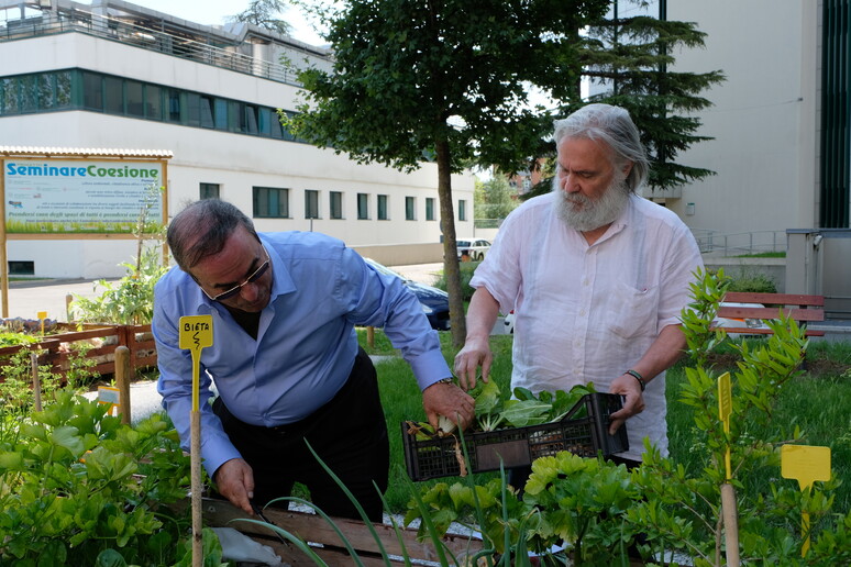 Foto: Ausl Bologna - RIPRODUZIONE RISERVATA