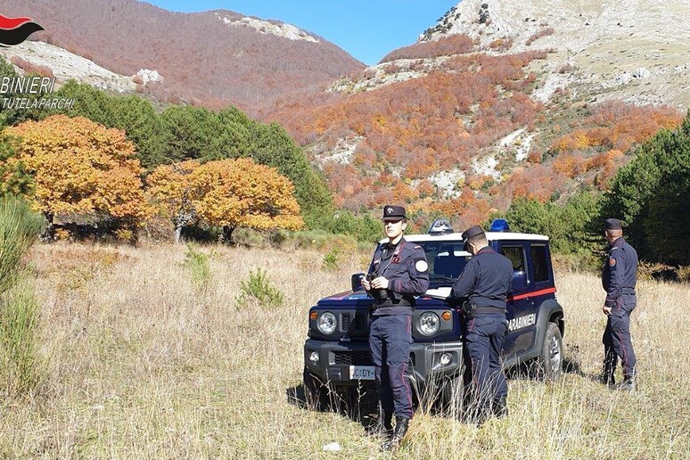- RIPRODUZIONE RISERVATA