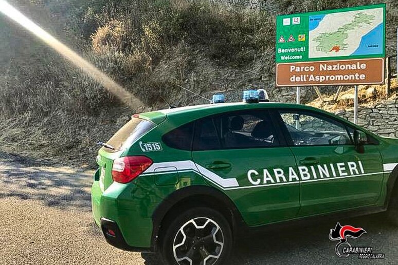 - RIPRODUZIONE RISERVATA
