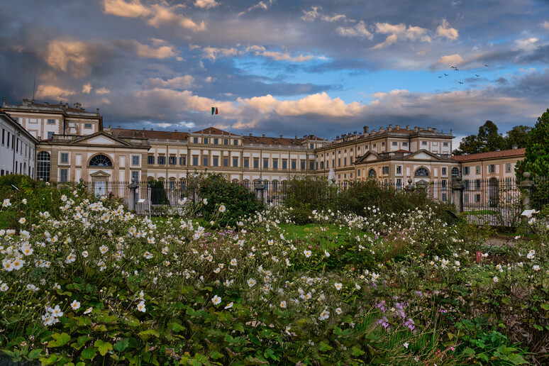 iStock. Monza - RIPRODUZIONE RISERVATA