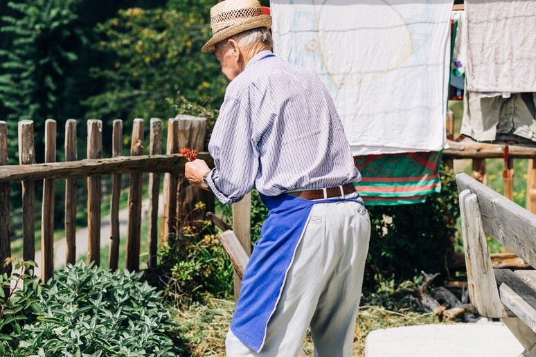 Il premio “Coltiviamo agricoltura sociale”, indetto da Confagricoltura e Onlus Senior è andato a tre tre aziende agricole di Bolzano, Asti e Catanzaro (Fonte: Confagricoltura) - RIPRODUZIONE RISERVATA