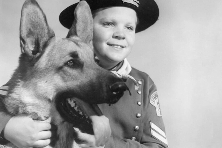 Lee Aaker  con il fedele  pastore tedesco ne Le avventure di Rin Tin Tin - RIPRODUZIONE RISERVATA