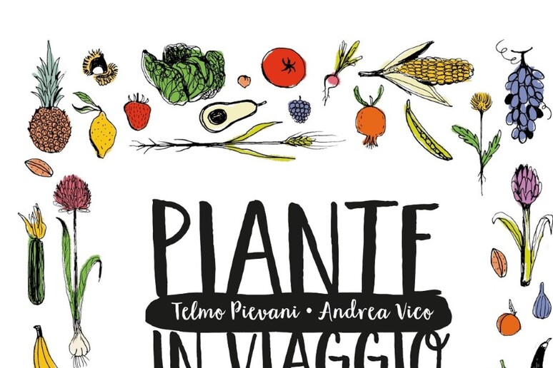 - RIPRODUZIONE RISERVATA