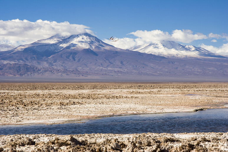 BMW Group, aderisce a  'Responsible Lithium Partnership ' © ANSA/web