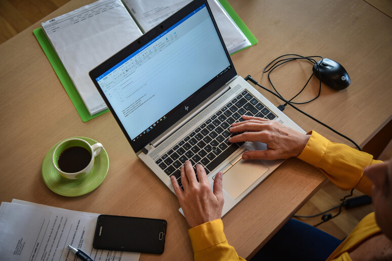 Una donna al pc - RIPRODUZIONE RISERVATA