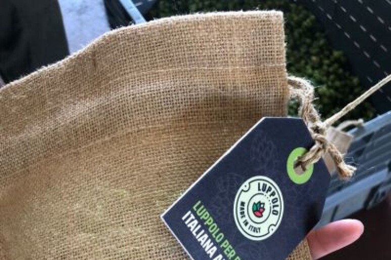 - RIPRODUZIONE RISERVATA