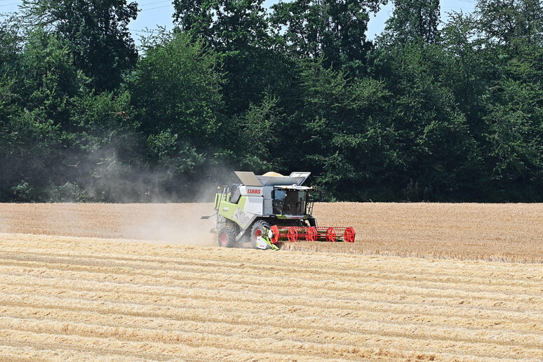 - RIPRODUZIONE RISERVATA