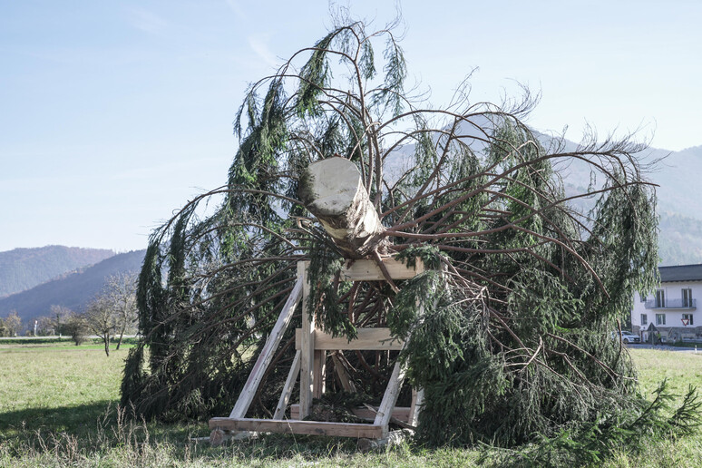 - RIPRODUZIONE RISERVATA