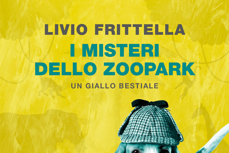 - RIPRODUZIONE RISERVATA