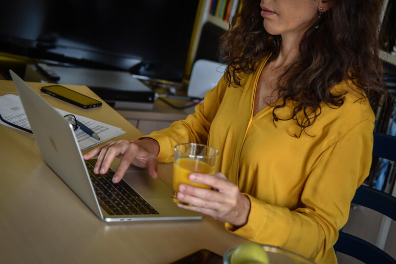 Una donna al computer - RIPRODUZIONE RISERVATA