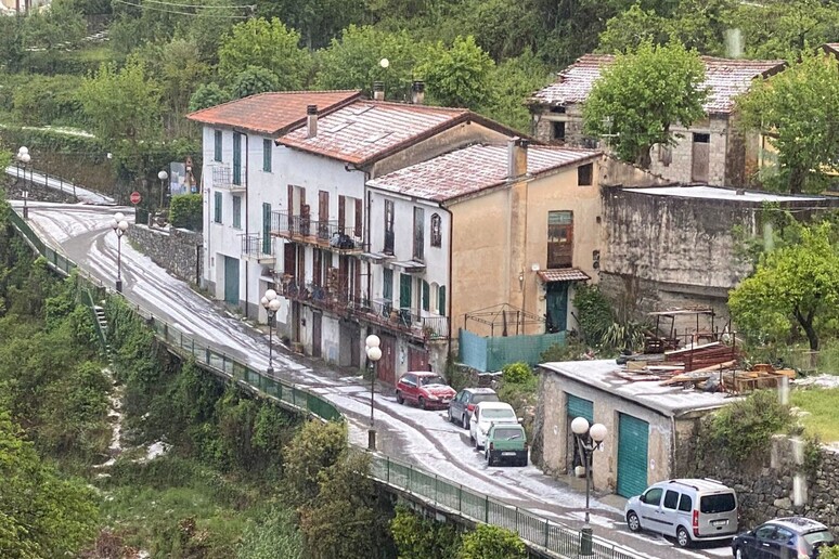 - RIPRODUZIONE RISERVATA