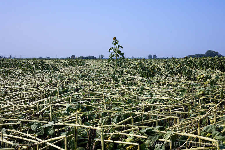 - RIPRODUZIONE RISERVATA