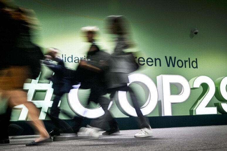 Cop29, il debutto dell 'Ia nelle politiche sul clima © ANSA/AFP