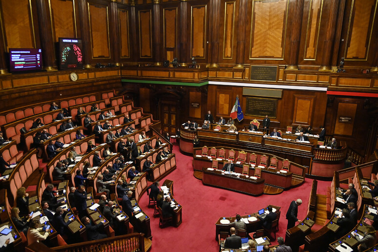 L 'aula del Senato - RIPRODUZIONE RISERVATA