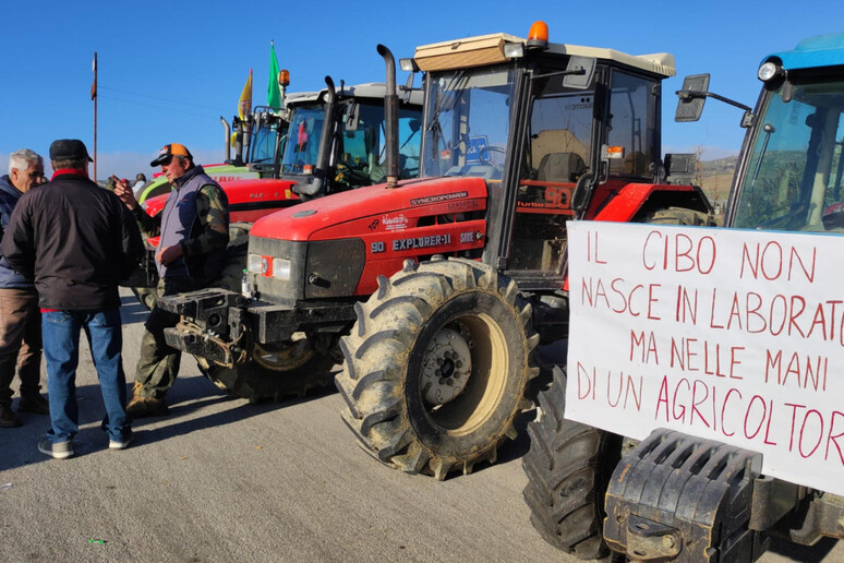 -     RIPRODUZIONE RISERVATA