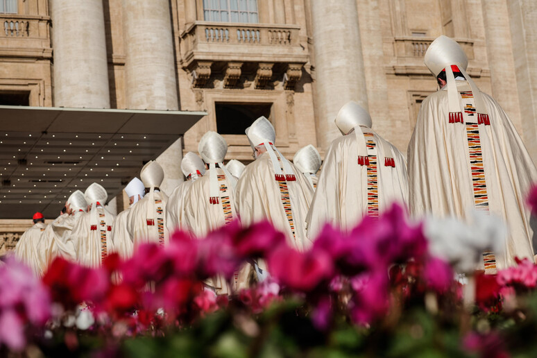 Cardinali (foto d 'archivio) - RIPRODUZIONE RISERVATA