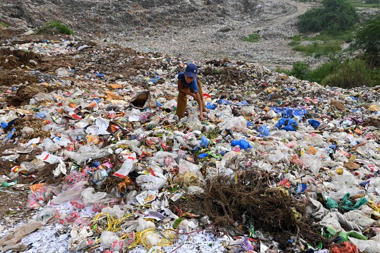 Corte dei Conti Ue:  'attuazione in salita per la plastic tax ' © ANSA/AFP