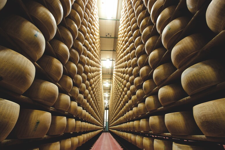 Parmigiano Reggiano (Foto d 'archivio) - RIPRODUZIONE RISERVATA