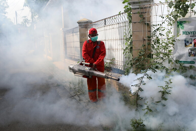 © ANSA/EPA
