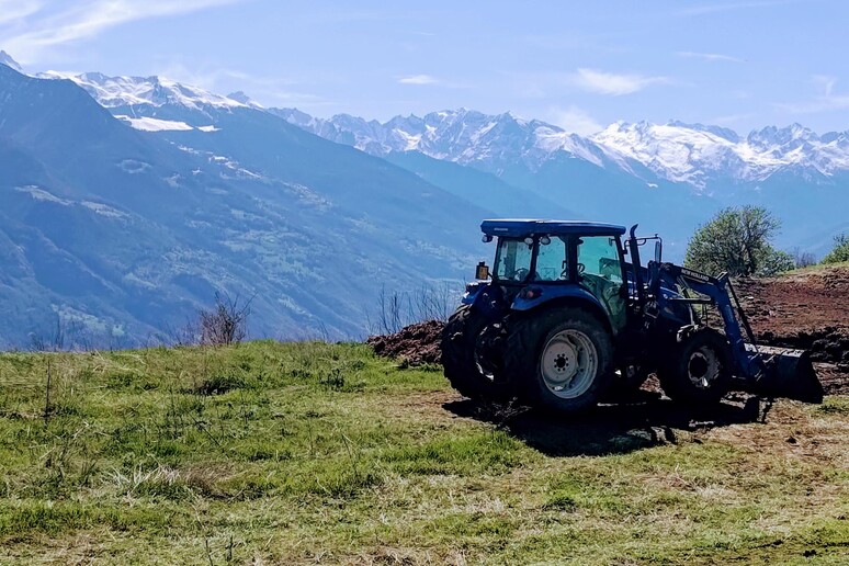 - RIPRODUZIONE RISERVATA