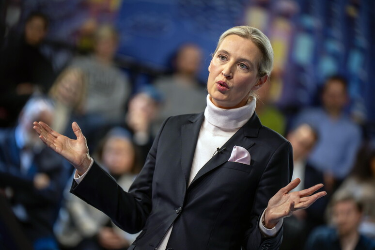 Alice Weidel © ANSA/EPA