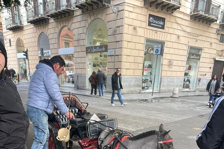 Rizzi, piccola carrozza trainata da pony a Palermo - RIPRODUZIONE RISERVATA