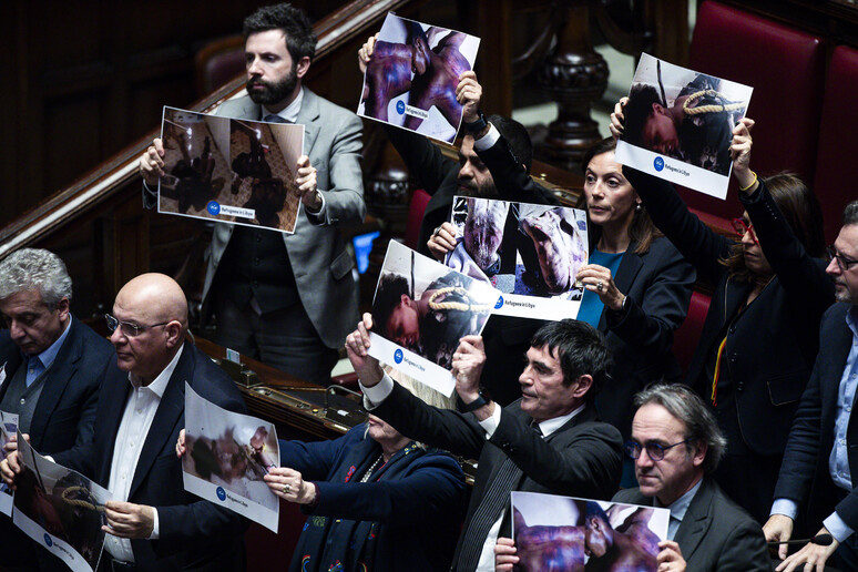 Le opposizioni in aula - RIPRODUZIONE RISERVATA