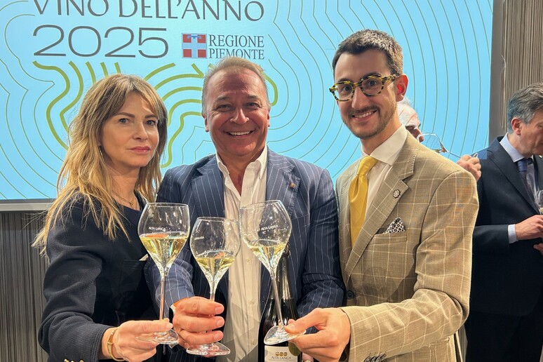 Alta Langa, il vino dell 'anno punta ai 3,2 milioni di bottiglie - RIPRODUZIONE RISERVATA