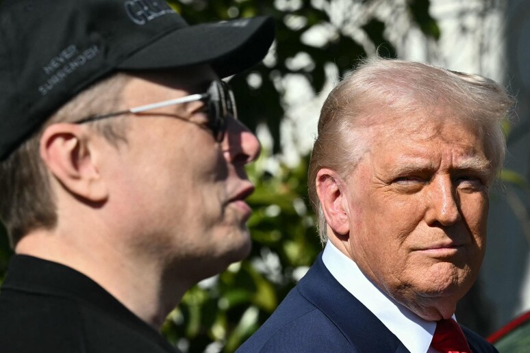 Musk e Trump © ANSA/AFP
