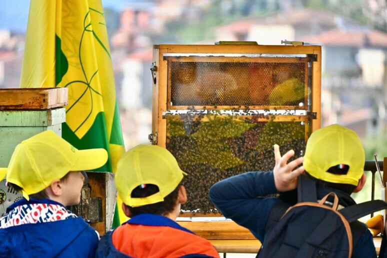 - RIPRODUZIONE RISERVATA