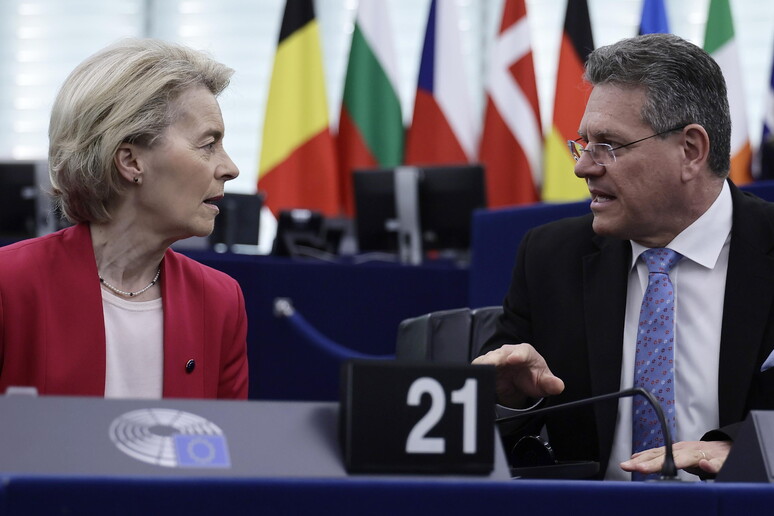 La Commissione Ue sottolinea: "Nessuna offerta formale su maggiori acquisti di beni Usa" © ANSA/EPA