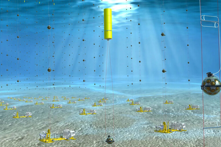 Rappresentazione artistica del telescopio abissale per la rivelazione di neutrini KM3NeT - RIPRODUZIONE RISERVATA