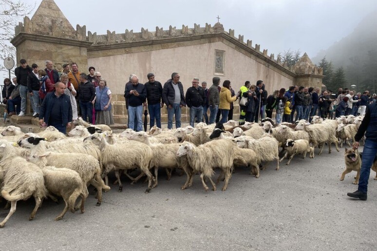 - RIPRODUZIONE RISERVATA